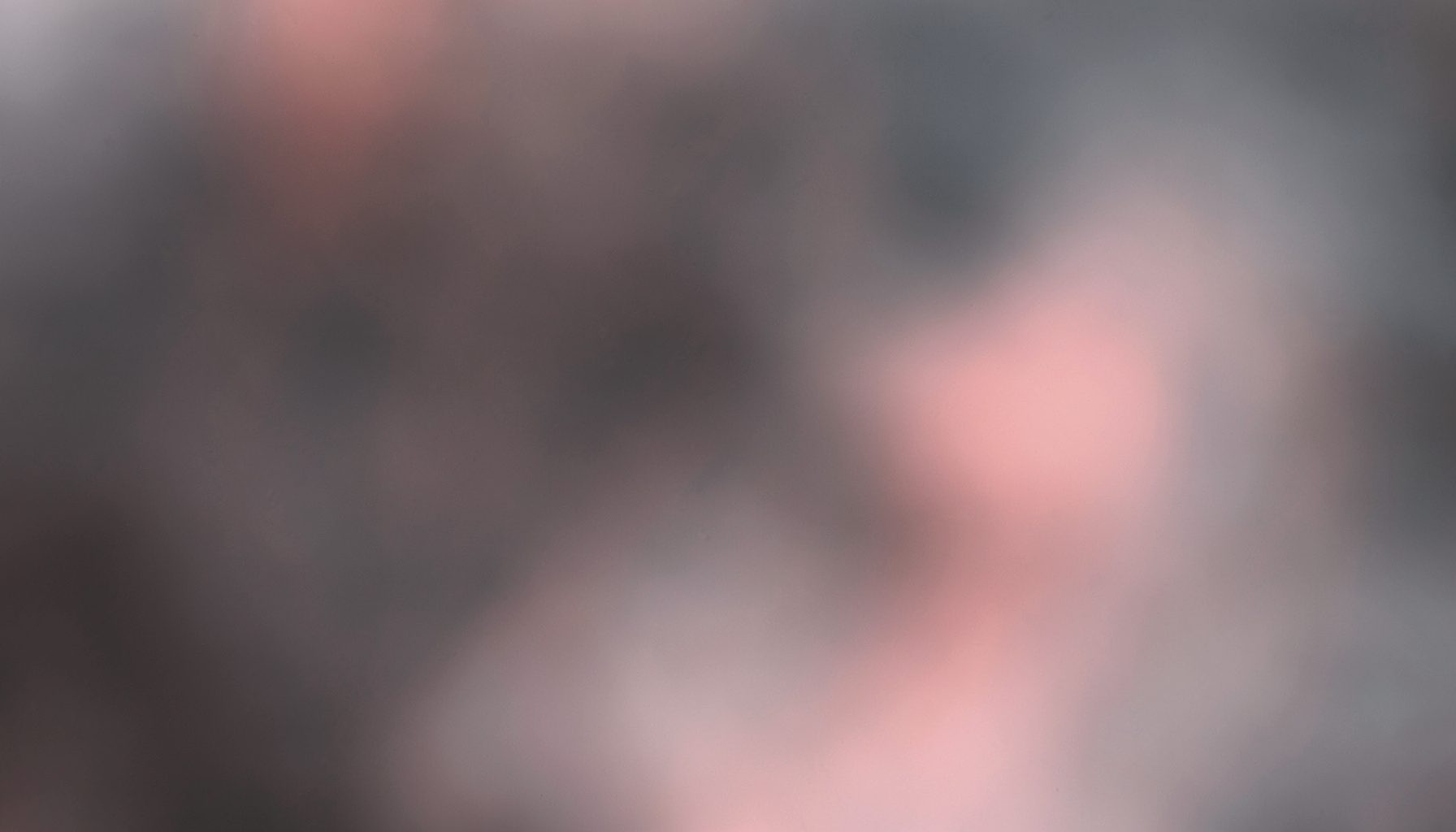Soft-focus abstract composition in muted rose and charcoal tones, gentle light falloff suggesting an artistic photography aesthetic