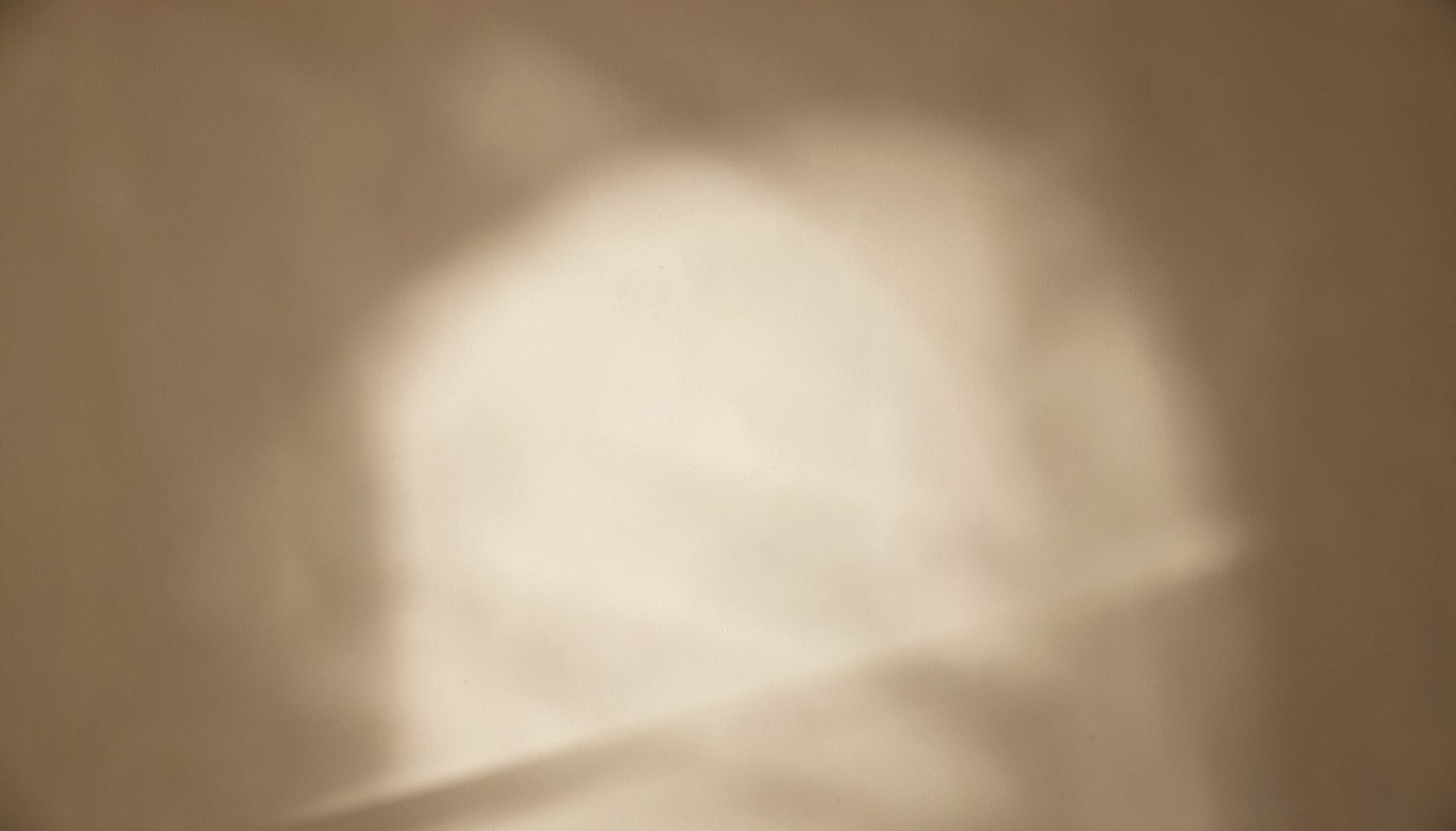 Warm neutral palette of taupe and cream with soft directional light, evoking an intimate studio photography setting